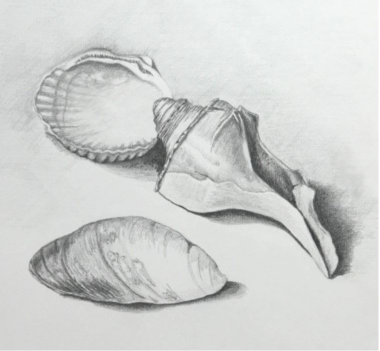 https://www.capecodmuseumtrail.com/wp-content/uploads/2023/04/FAC-Drawing-for-Beginners.jpg