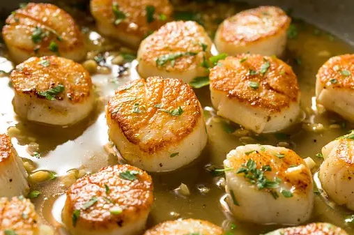 Scallops